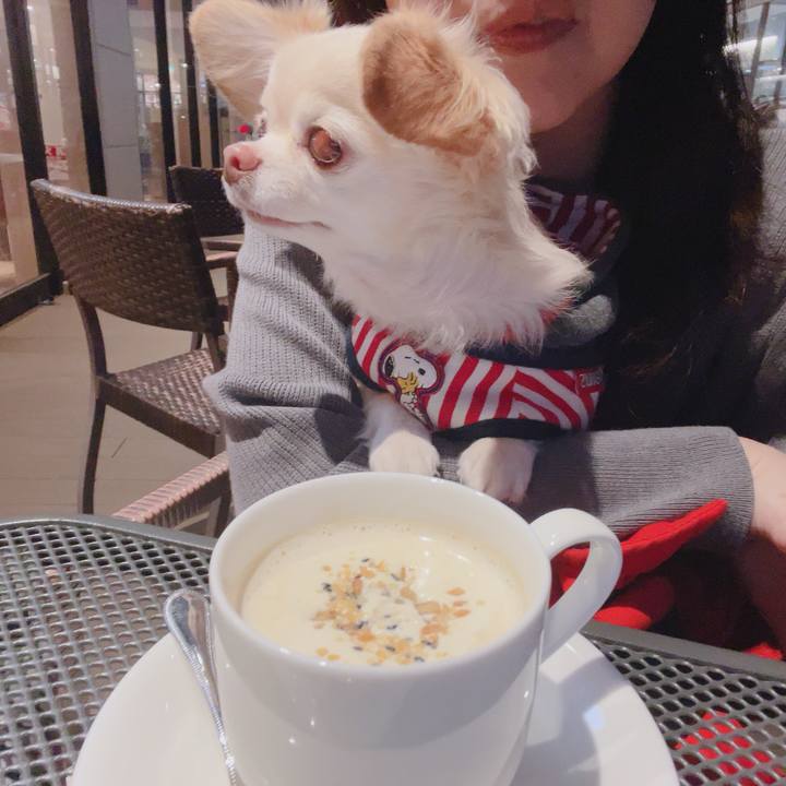 Bb98ce77 88f1 4995 8c3d bdff2283c7bd 1762085315497