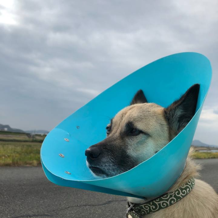 Bb991377 b038 48f1 896c 45a48217dd7c 1635926441294