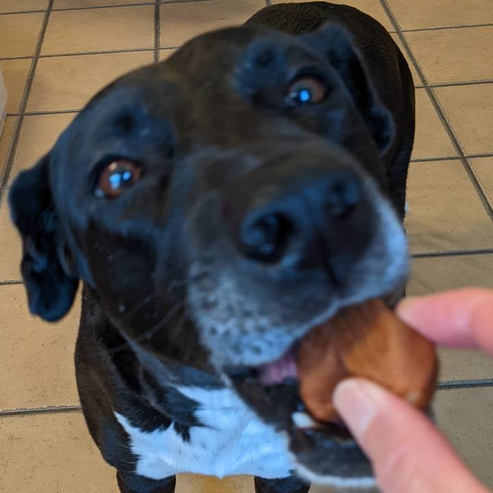 Bb991c79 2f64 4557 8c92 dec664ca0827 1651749546368