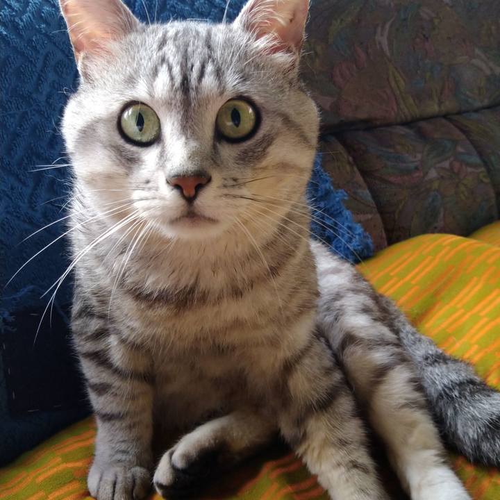 Bb99204d fb34 4a5a 817c 798cbd2477fa 1690261800315