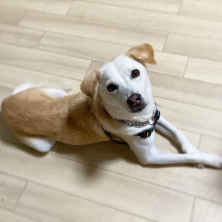 Bb99308c db73 4076 ac3d a7ac7ffa12a3 1630582772313