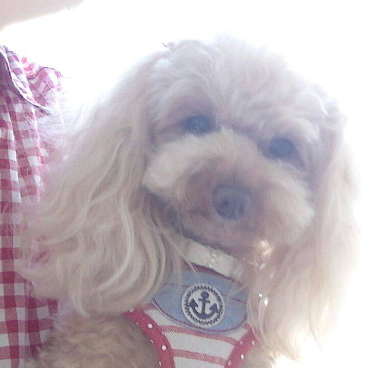 Bb996491 e40f 450f a174 f588ac35775d 1524303635326