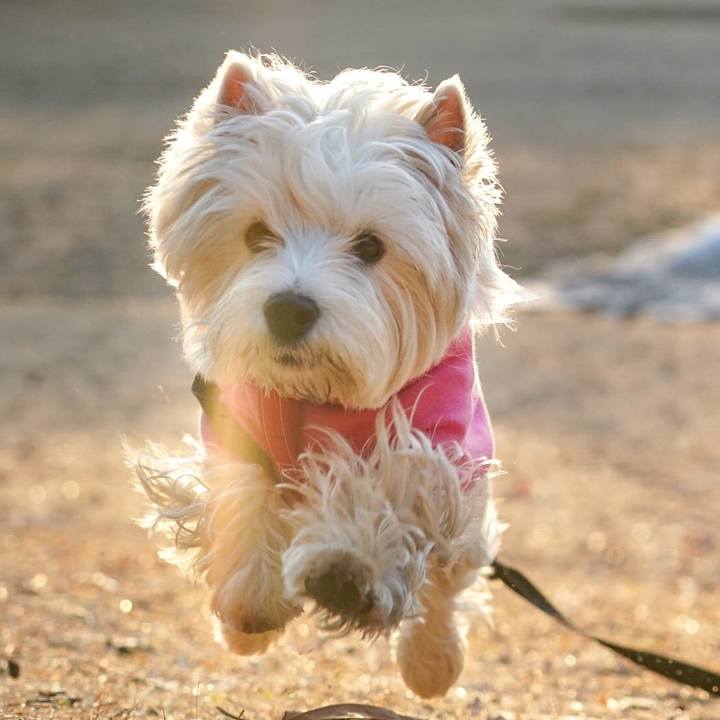 Bb998e58 f878 4169 b2c2 451abd354c26 1517229274149