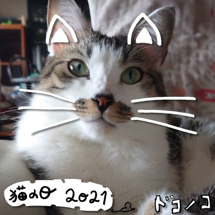 Bb99a3ce 928b 4102 91aa 6eee731e8052 1613979611420