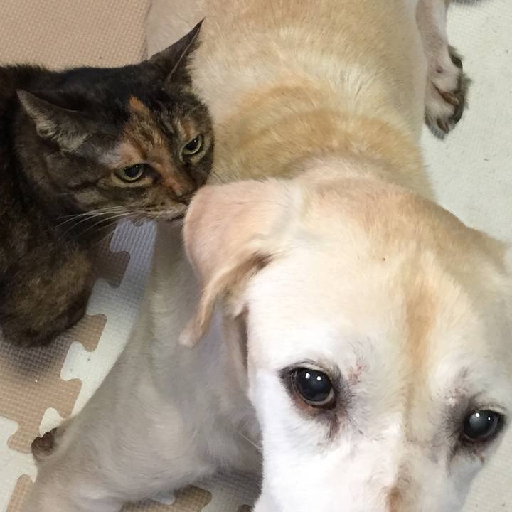 Bb9a0a18 36dc 4e6d 8271 1b4f1bfc3744 1509574011475