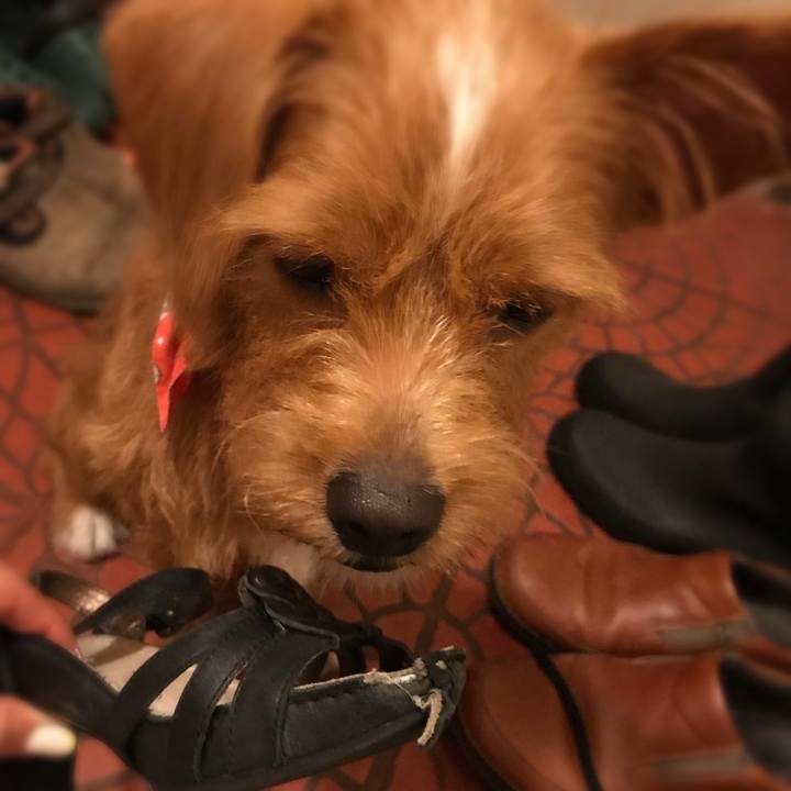 Bb9a1724 70fe 4dbd 97a1 645fa215f8e6 1534307966696