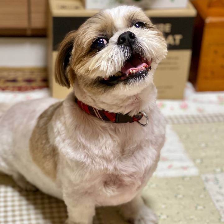 Bb9a26a5 353e 4460 a300 b30009f187e3 1600168239246