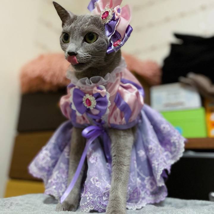 Bb9a27c2 d4a9 4501 b99f 544d9e71d27c 1715901295469