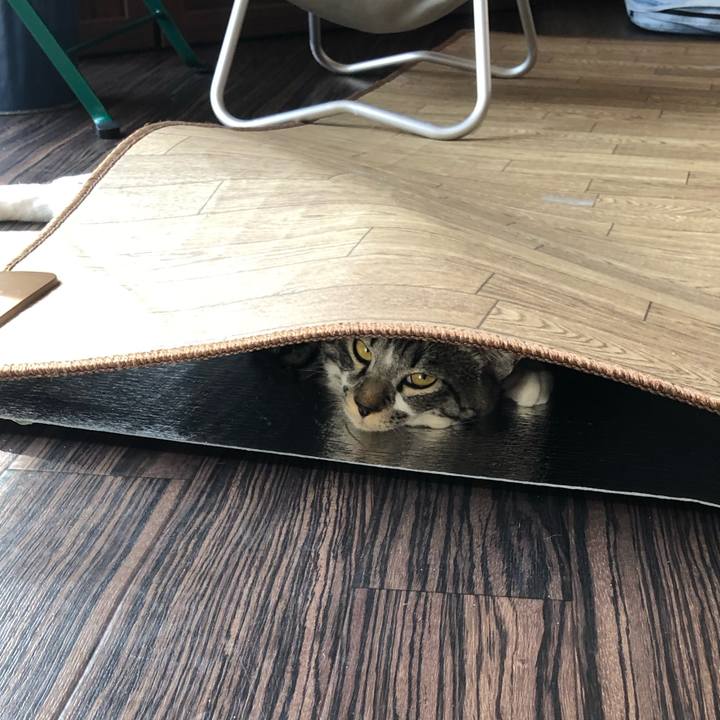 Bb9a9f02 48e3 46e8 918d 9e62c6108bb3 1648097456591