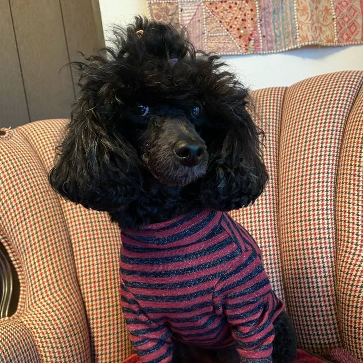 Bb9ac04f 11eb 484a 9e49 7eba0def4e40 1634783049220