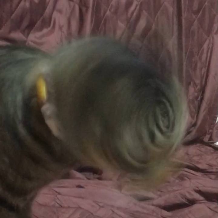 Bb9adae6 edff 4af6 9279 fd72a8969652 1624354000790