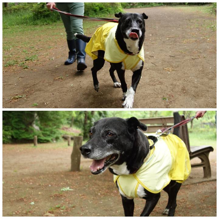 Bb9ade82 a46b 49b7 94ce 205bfb4abb90 1745365997465