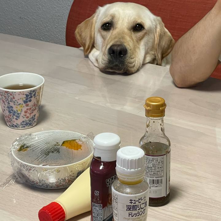 Bb9af986 f7a9 419a 9086 a3a24d3f1677 1661785874072