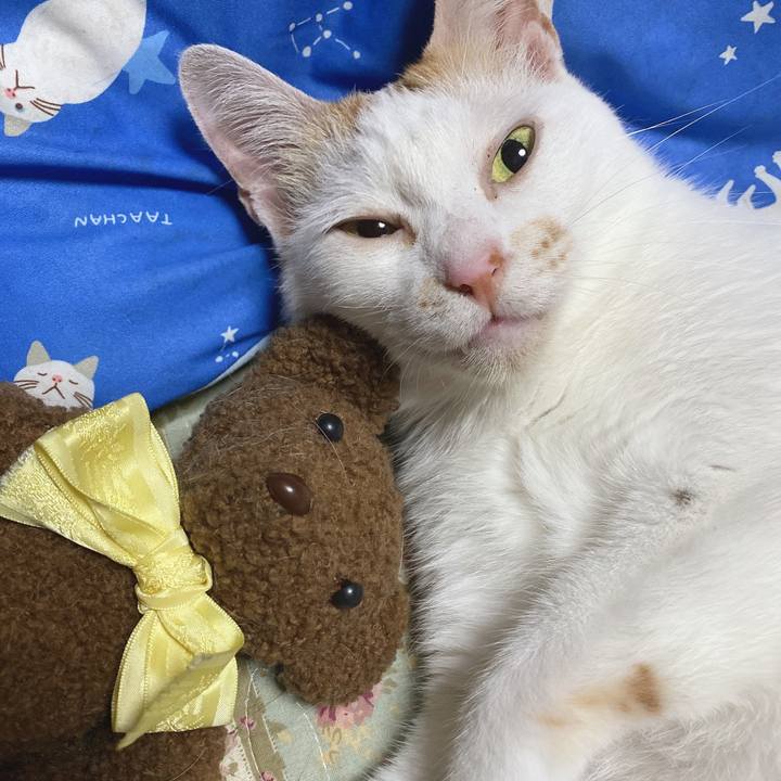 Bb9b580a 32ac 4058 82f8 c2ad1bcc2974 1627790073070