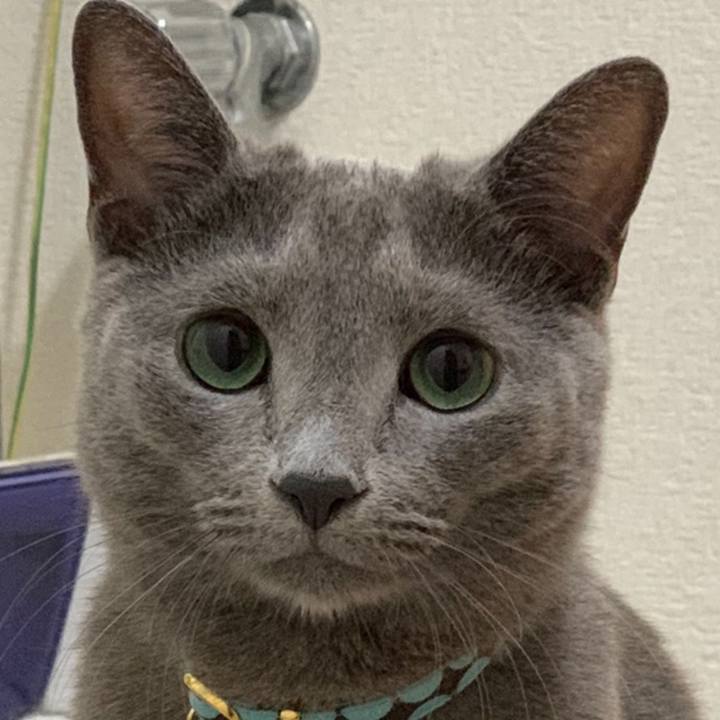 Bb9b765e 97ed 4765 952b fd1a80867720 1600901179134