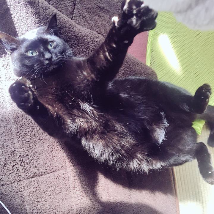 Bb9b7abd 7c59 4678 a57e 2f2f98019a0f 1522373775532