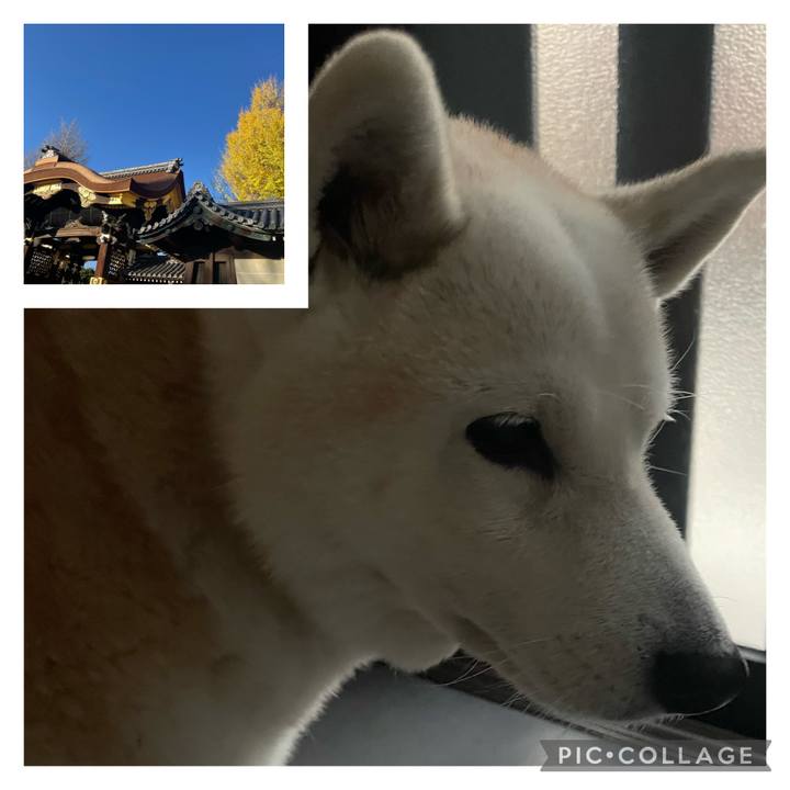 Bb9b8ef5 db7c 40f0 9b0a ed019b155c33 1670819607499