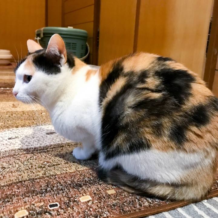 Bb9b9605 f513 45a7 9e52 90f0ecd9bcff 1515975954656