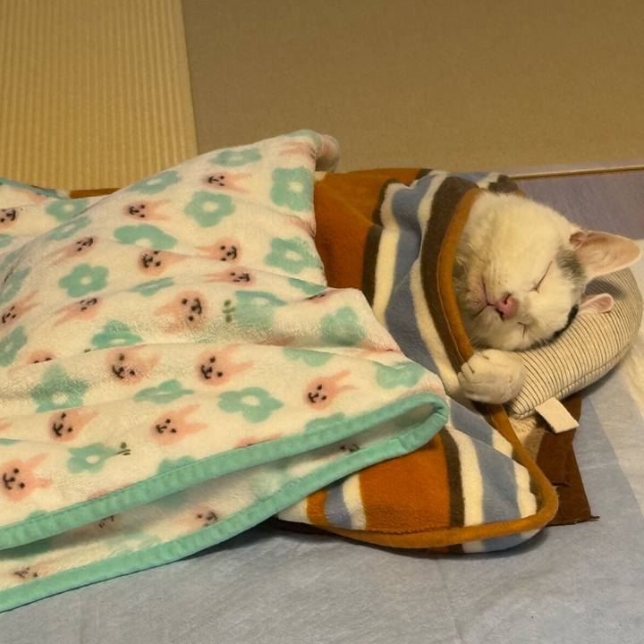 Bb9b960d 90fc 4927 b8b1 9f4d862e7620 1760934384904