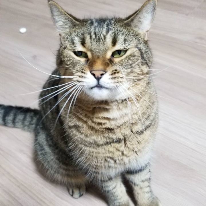 Bb9b98b6 f514 4769 82c2 2535b1233249 1567600606810