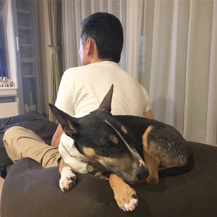 Bb9bff40 f6be 4cf1 8c70 a156fc030b97 1527252701250