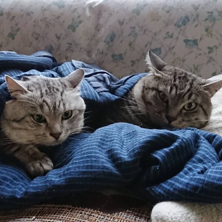 Bb9c09d6 6713 4c3a 8b3b ee654055f74a 1541660186102