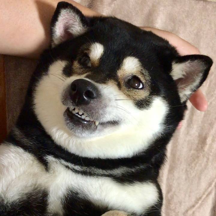 Bb9c0e0c 4902 4c43 a555 c1ccf47230ce 1560607973006