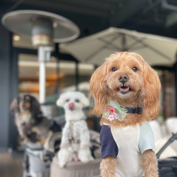 Bb9c193c cb28 4d9c bcfe 540fb8b4e59b 1775915255271