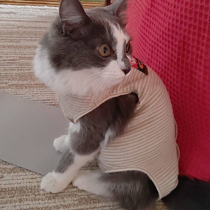 Bb9c1d03 4611 4619 8c91 8a58179ec22f 1572667061427