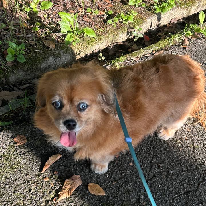 Bb9c2b82 1bbd 43af a54d 00ce91520fbe 1730680907687