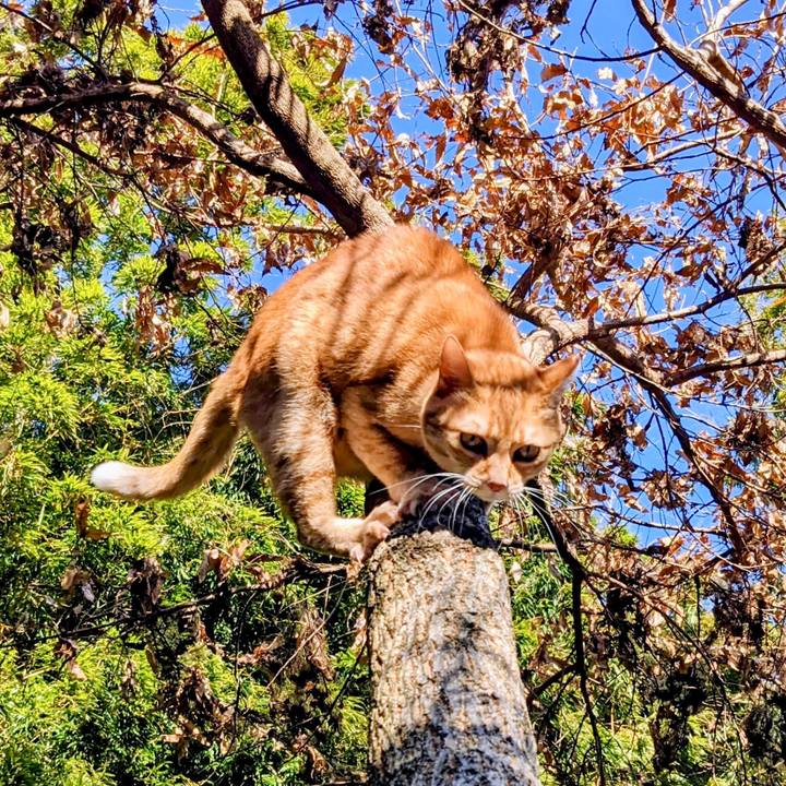 Bb9c4e21 5841 421b 8e56 9d7634bdf96d 1767713463264