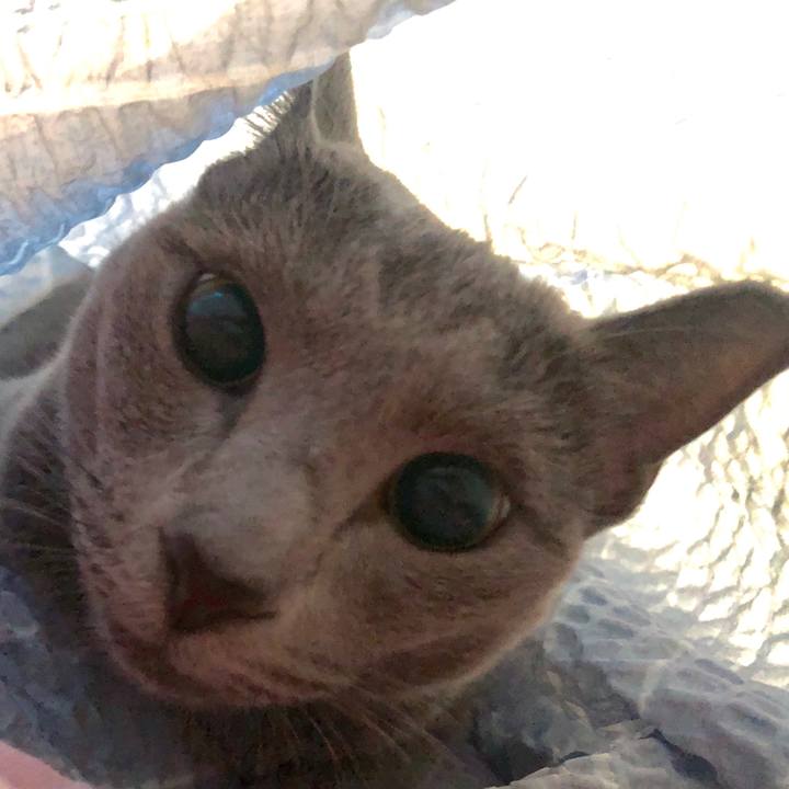 Bb9c65f3 d855 4f44 913d 05235b593bbc 1567649874852