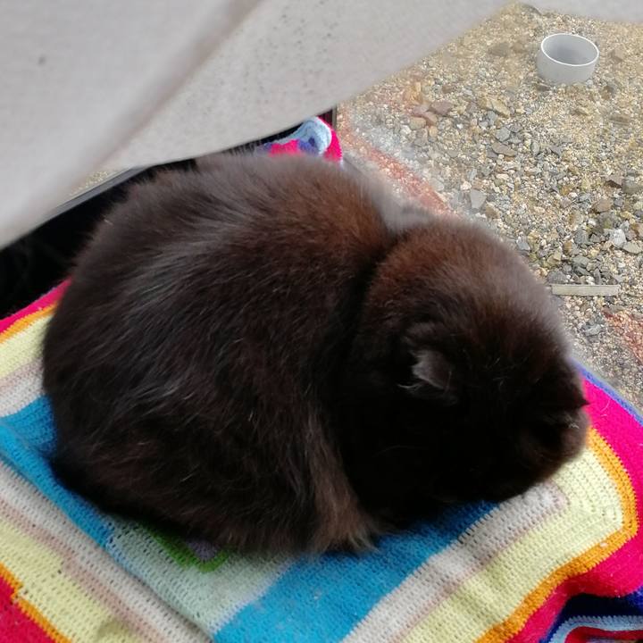 Bb9c6a78 fdd5 4109 b556 5d59e3b34cb5 1545463487858