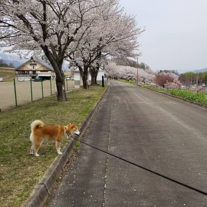 Bb9c891e c902 42a2 a94d 7ddcdb32a49b 1650513794469