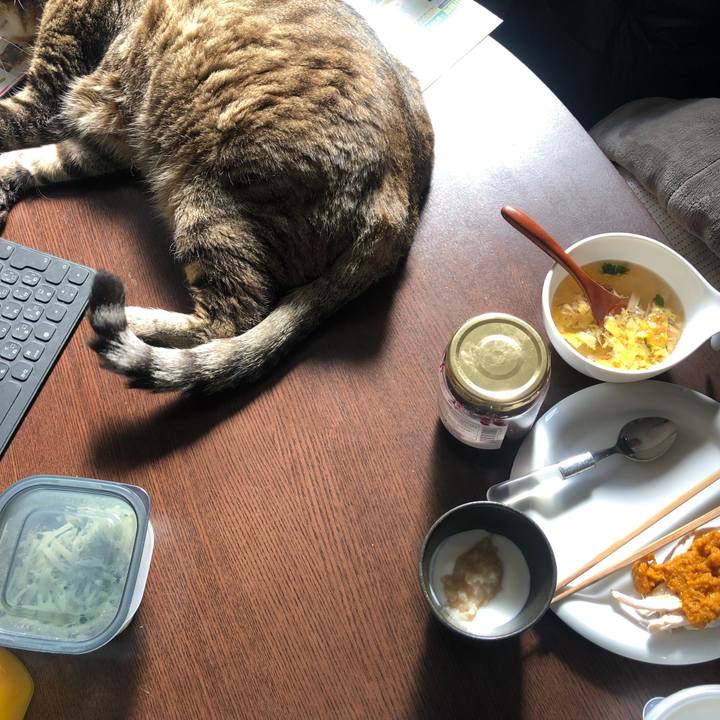 Bb9c96c7 4aa2 4d43 9710 ae920f62826b 1647028814194