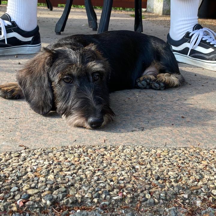 Bb9ca431 01dc 40cd 95f4 3743d7f87882 1588427389926