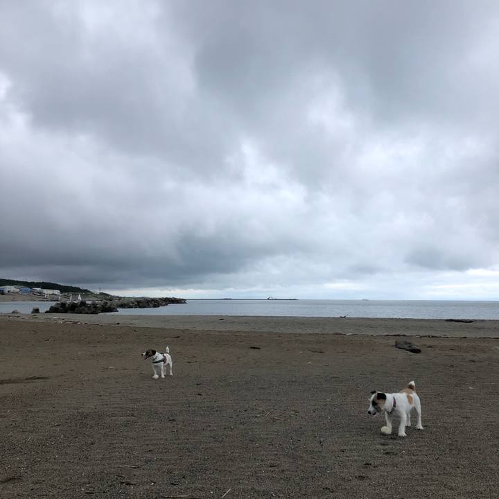 Bb9caa06 855f 4bc4 80bb fbdbabb55341 1593905923506