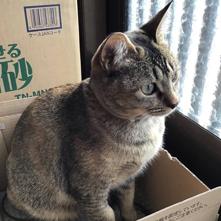 Bb9cbdc3 12e3 4046 a72f 8dee538690a2 1581731683751