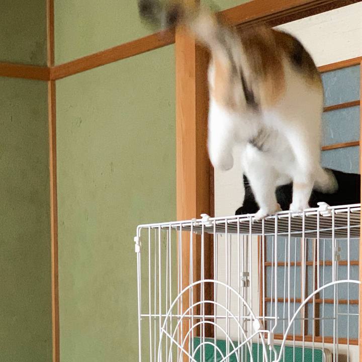 Bb9cd728 ae80 4e6a b895 19efbbb876e8 1566783188836