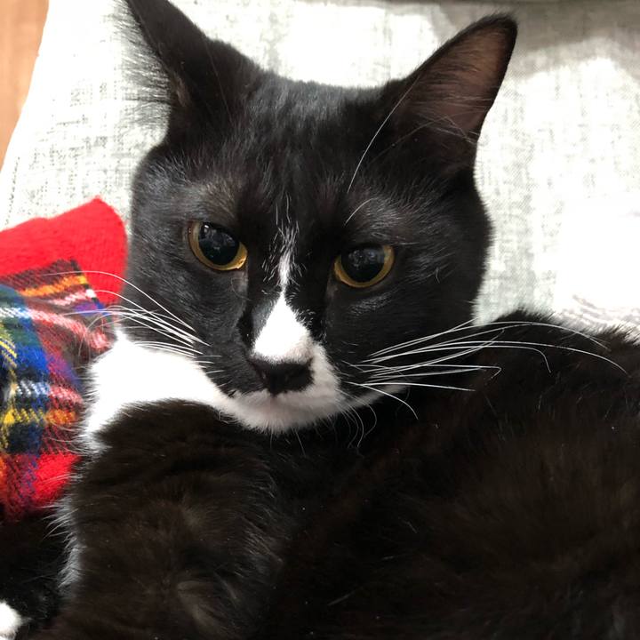 Bb9d06cb 5d79 46af 97fa f29aead5e409 1533997728497