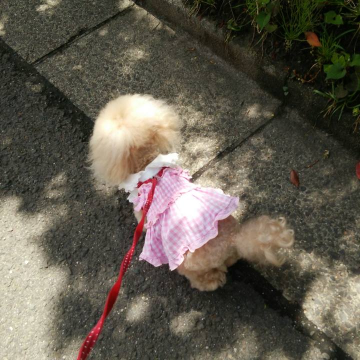 Bb9d18e0 5c0e 41d9 ae46 5798518d4c99 1559119445287