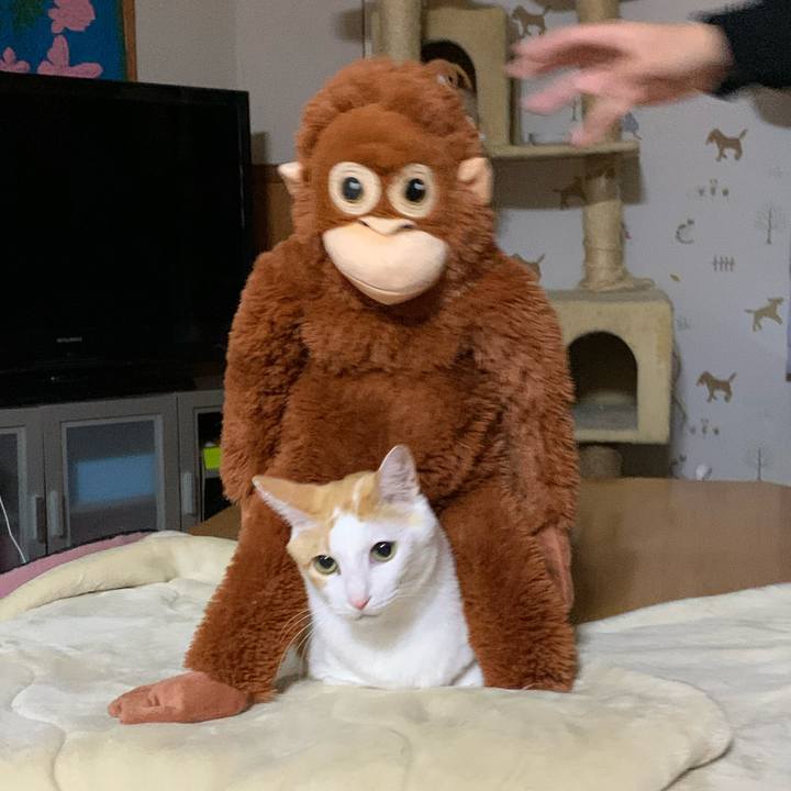 Bb9d3255 2d40 4e92 b78b 26a852393427 1608472732333