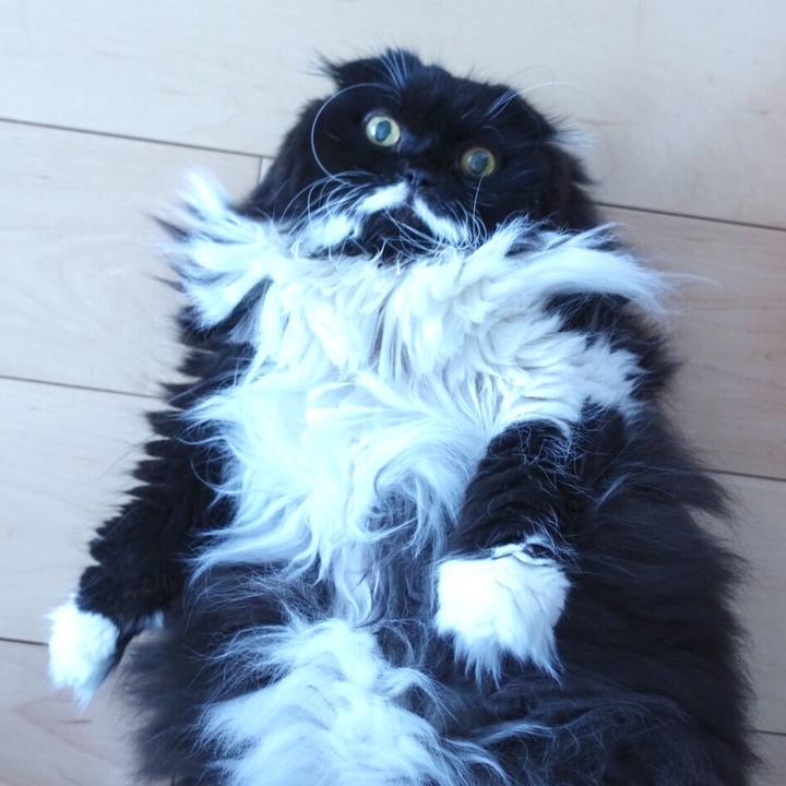 Bb9d753b 6941 478a 9c25 ba0092f88ff9 1565245752778