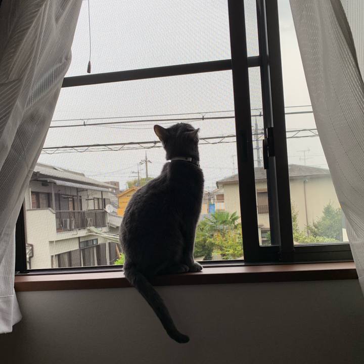 Bb9d7ad5 7faa 42e0 872c 5128b4c32f48 1650697438273