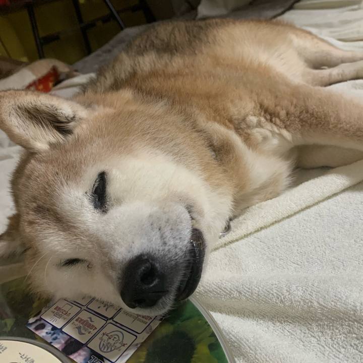 Bb9d8cf9 9b18 4088 b484 38407a3aa0cc 1693706032664