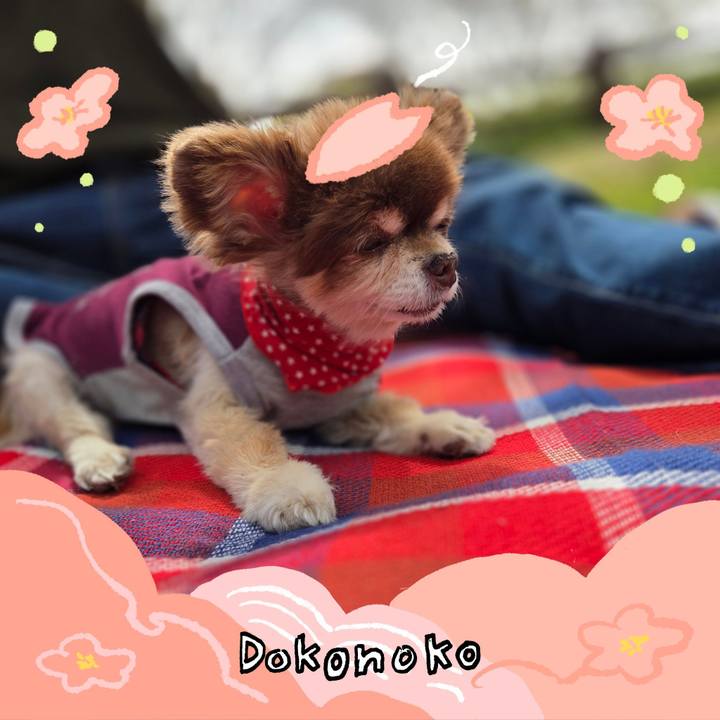 Bb9dbc4b 0703 42db ade0 1edecb2df3c7 1775600866671