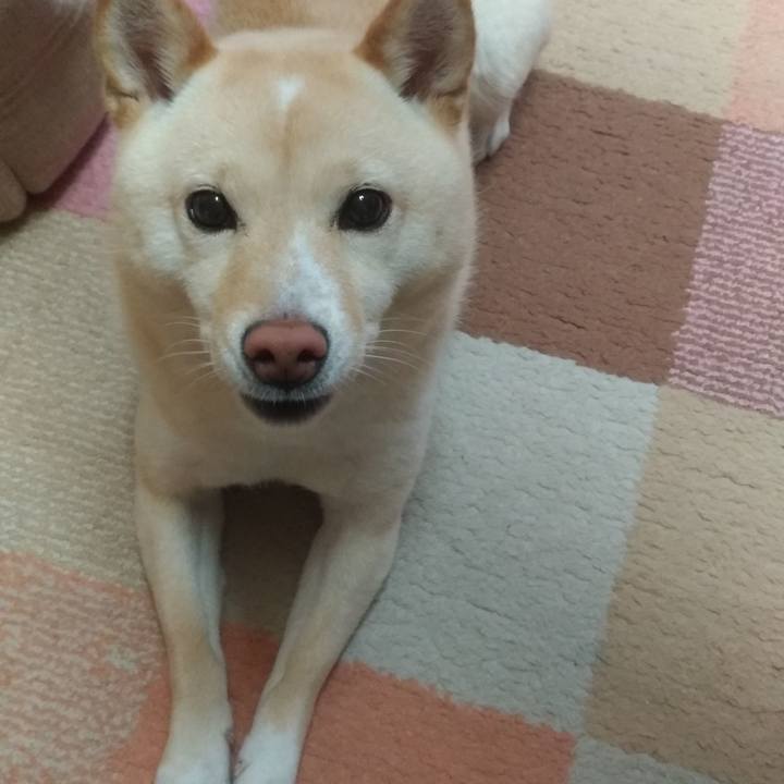 Bb9e1d2b 6bf4 422b abcb eba28aa607f6 1583704714387