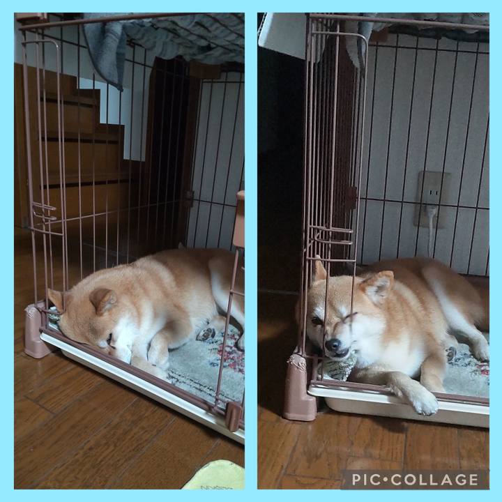 Bb9e566f c8cb 42c2 acd9 0a2b95aa5dfd 1743153519855