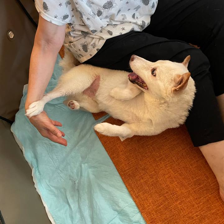 Bb9e6838 03fd 47ce 9203 c83801d059f9 1664690277558