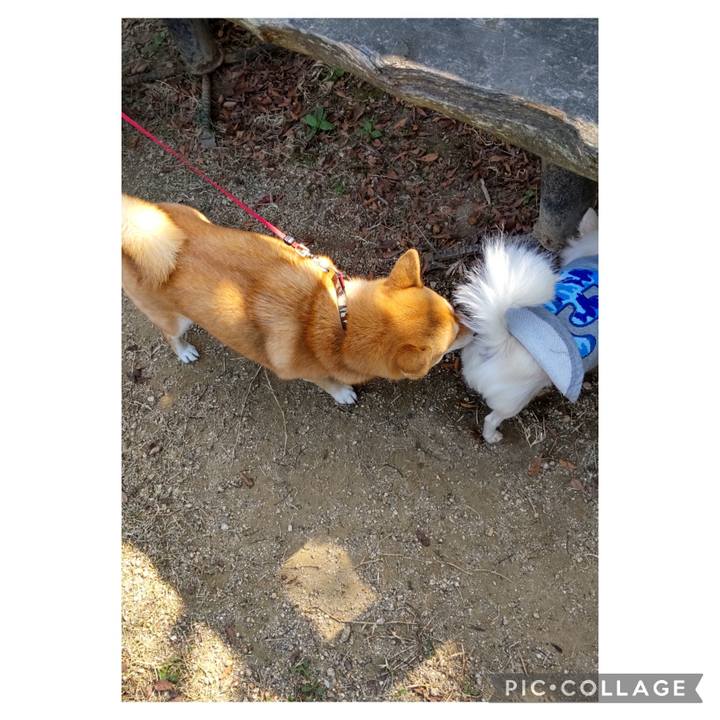 Bb9eaf52 b22c 494a b04b be112bf6df40 1698993826503